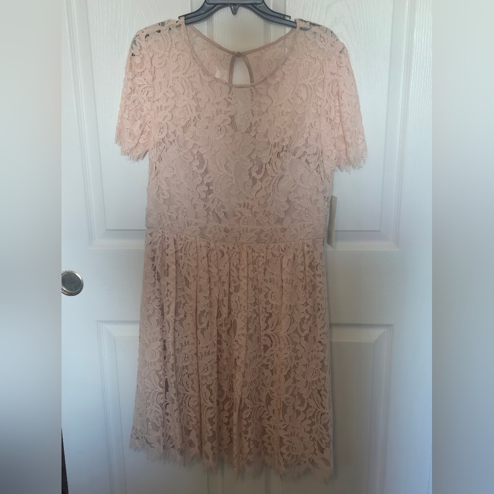 Eliza J Blush Lace Dress - Size 12 BNWT
